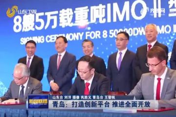 跨國公司領(lǐng)導(dǎo)人青島峰會