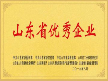 山東省優(yōu)秀企業(yè)