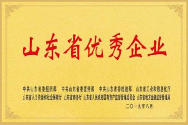 山東省優(yōu)秀企業(yè)