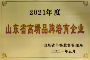 山東省高端品牌培育企業(yè)
