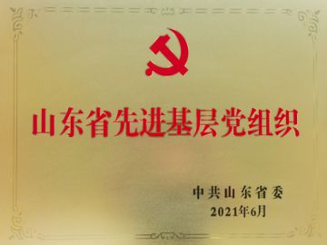 山東省先進基層黨組織